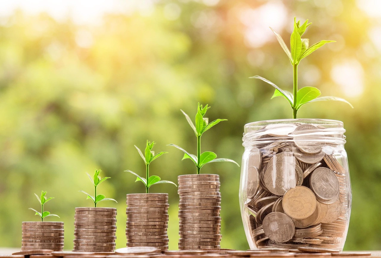 Tres pilas de monedas con una planta creciendo de cada una, por úlitmo se encunetra un frasco de monedas con una planta más grande sembrada